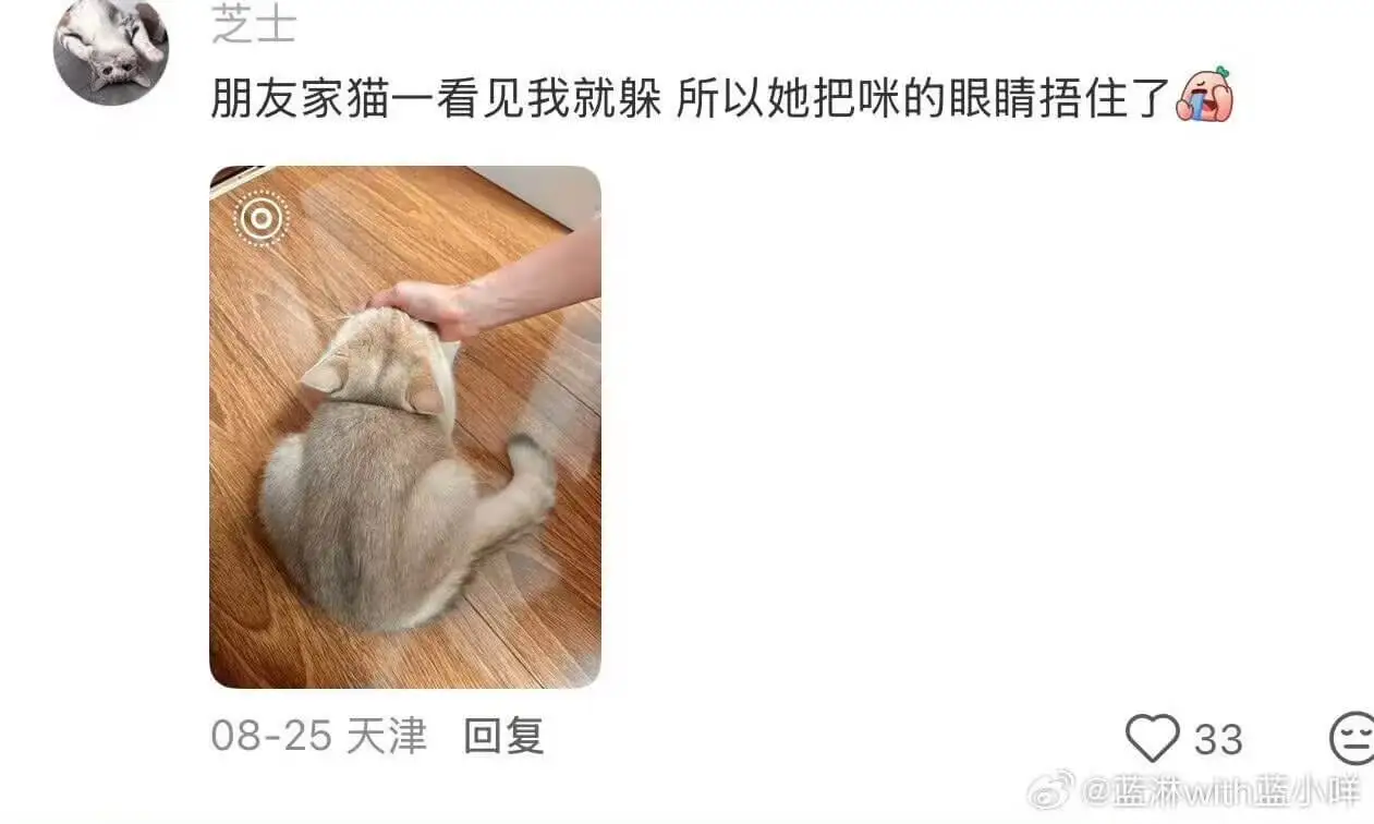 小猫咪🐱