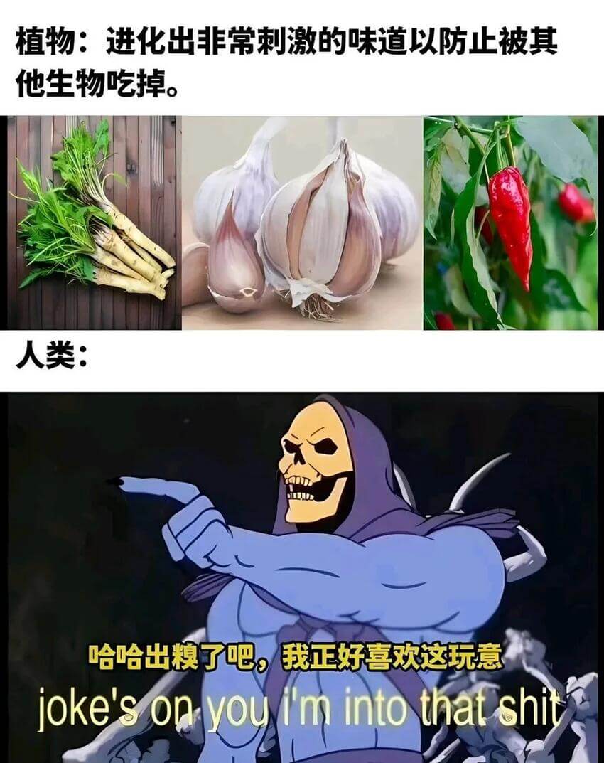 植物：进化出非常刺激的味道以防正被其他生物吃掉。人类：哈哈出