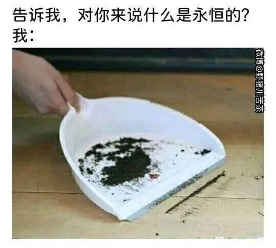 告诉我，对你来说什么是永恒的？我：博野猪川苦茶