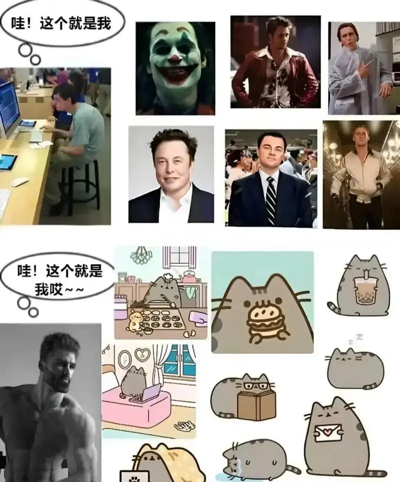哇！这个就是我哇！这个就是我哎～～CD