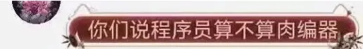 你们说程序员算不算肉编器