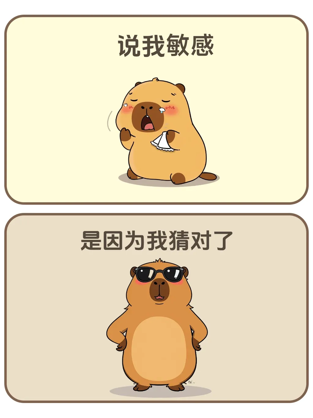 说我很敏感是因为我猜对了