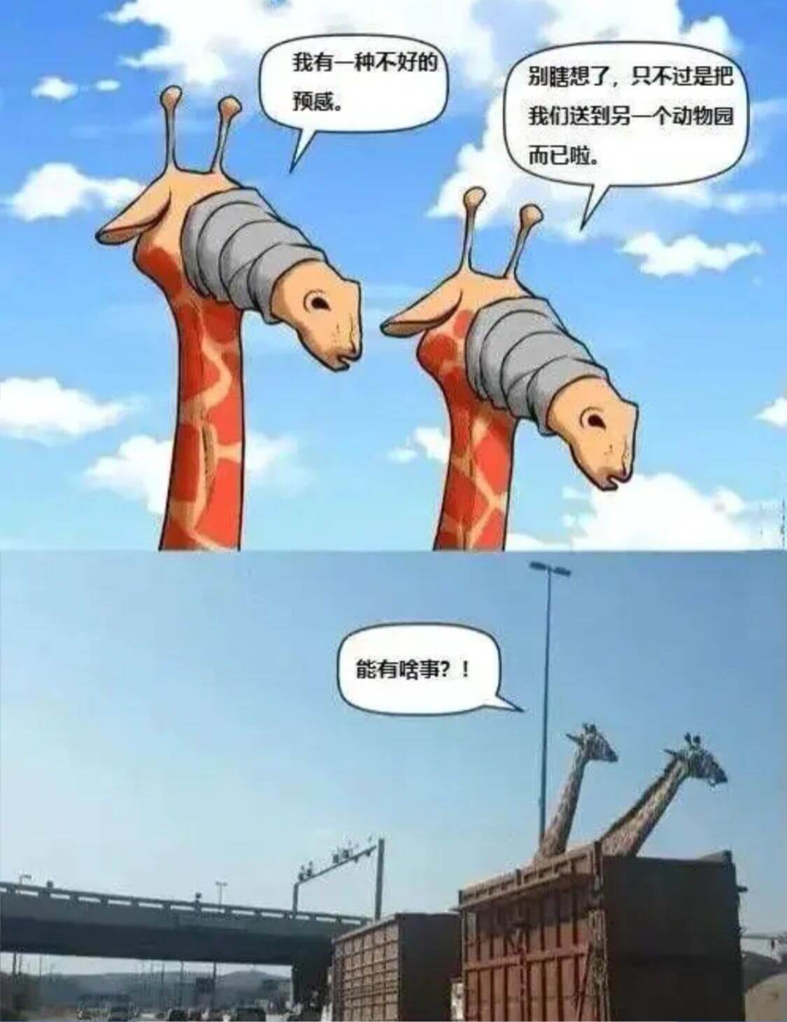 我有一种不好的预感。别瞎想了，只不过是把我们送到另一个动物园