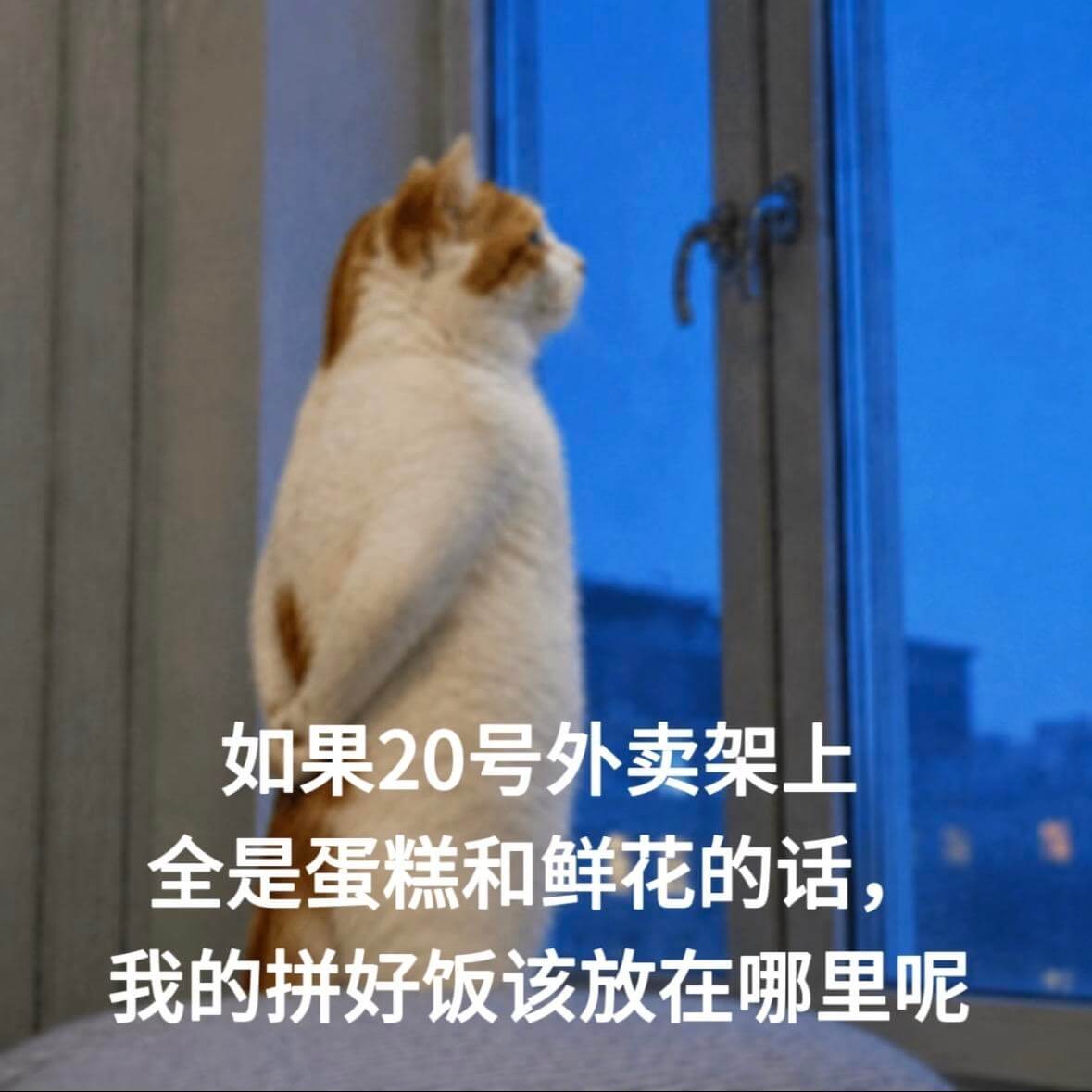 如果20号外卖架上全是蛋糕和鲜花的话,我的拼好饭该放在哪里呢