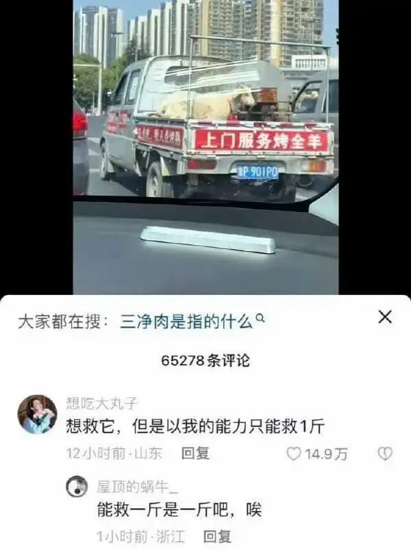 上门服务烤全羊浙P·901P0大家都在搜:三净肉是指的什么X