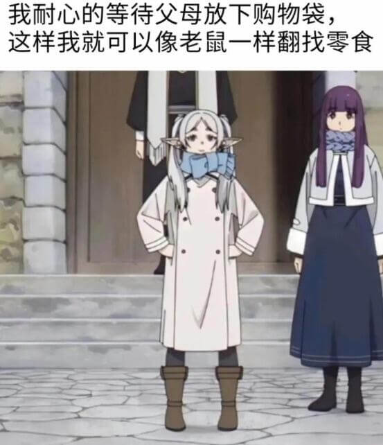 我耐心的等待父母放下购物袋，这样我就可以像老鼠一样翻找零食