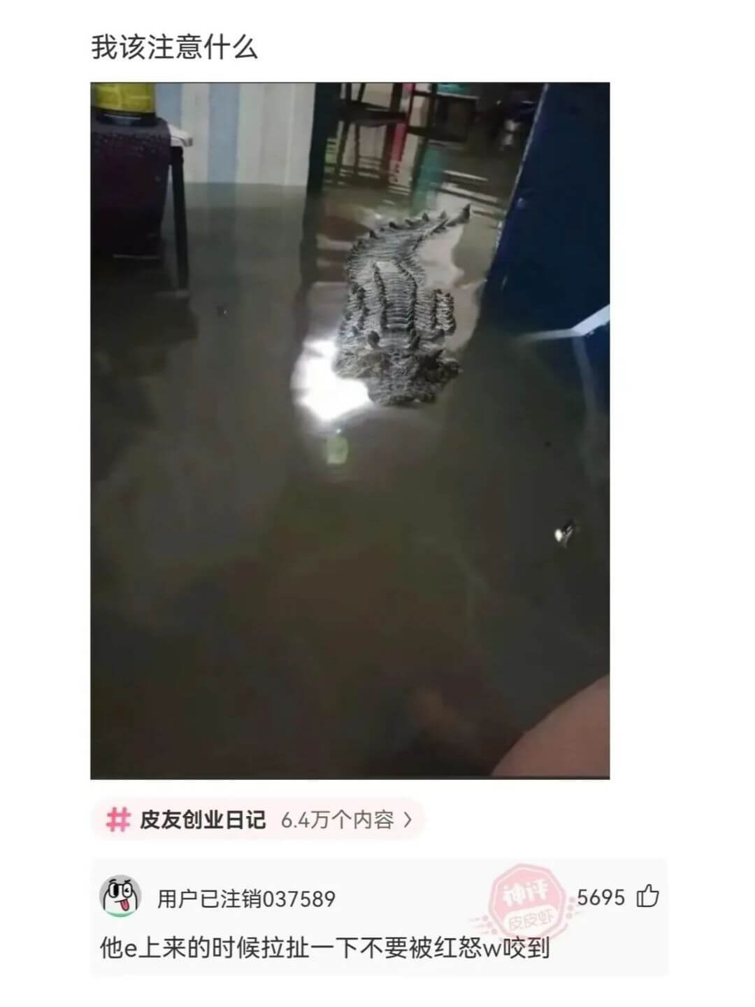 我该注意什么皮友创业日记6.4万个内容5695他e上来的时候