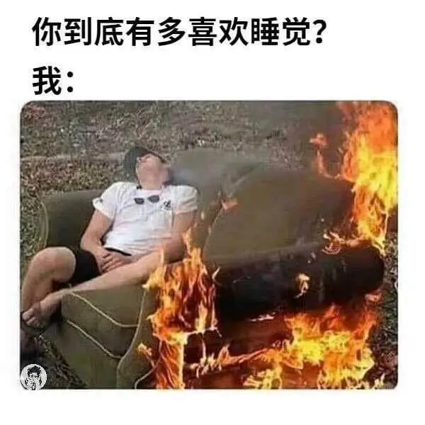 你到底有多喜欢睡觉？我：