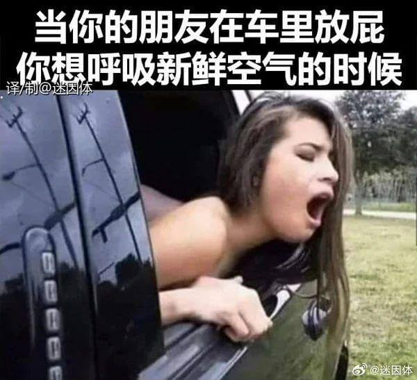 当你的朋友在车里放屁，你想呼吸新鲜空气的时候，@迷因体