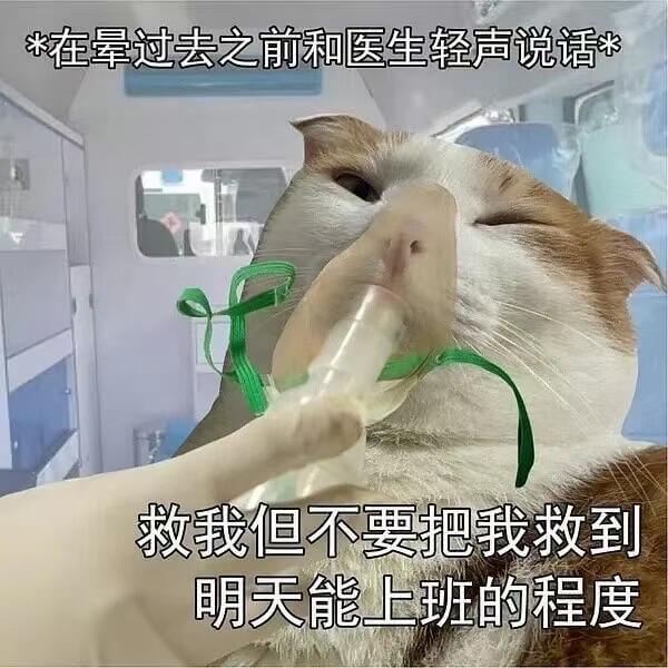 在晕过去之前和医生轻声说话救我但不要把我救到明天能上班的程度