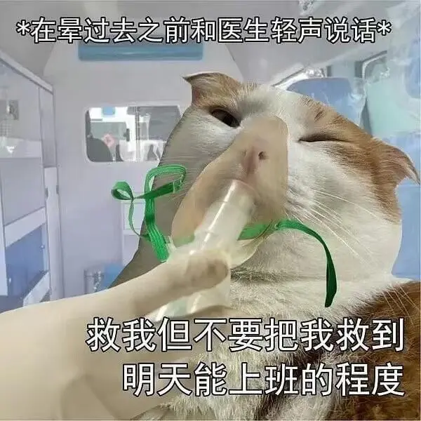 在晕过去之前和医生轻声说话救我但不要把我救到明天能上班的程度