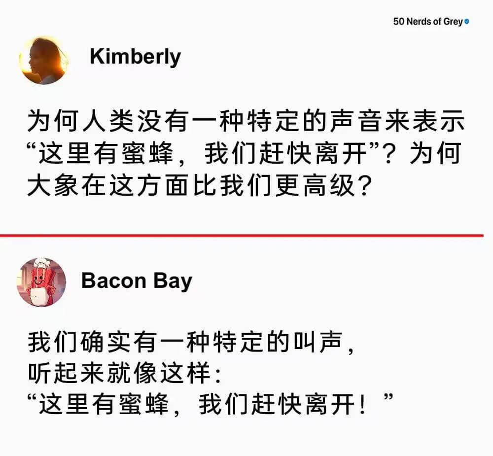 50NerdsofGreyKimberly为何人类没有一种特