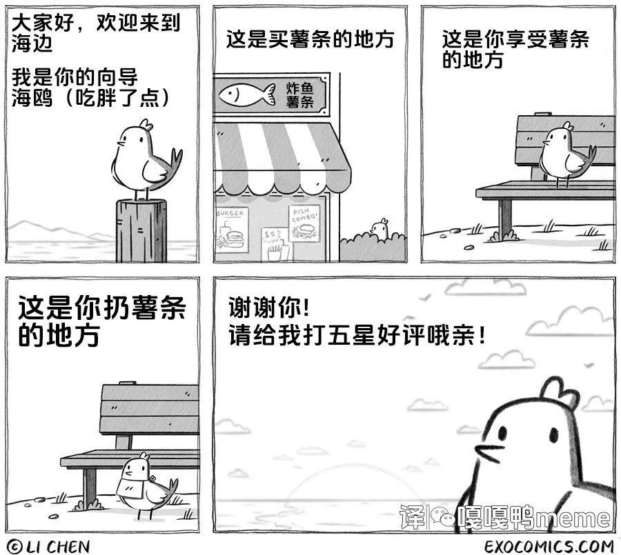 大家好，欢迎来到海边，我是你的向导。海鸥（吃胖了点）这是你扔