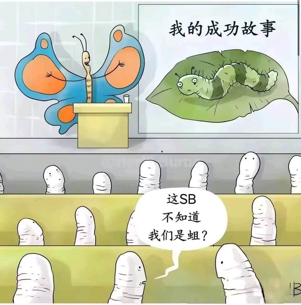 我的成功故事这SB不知道我们是姐？