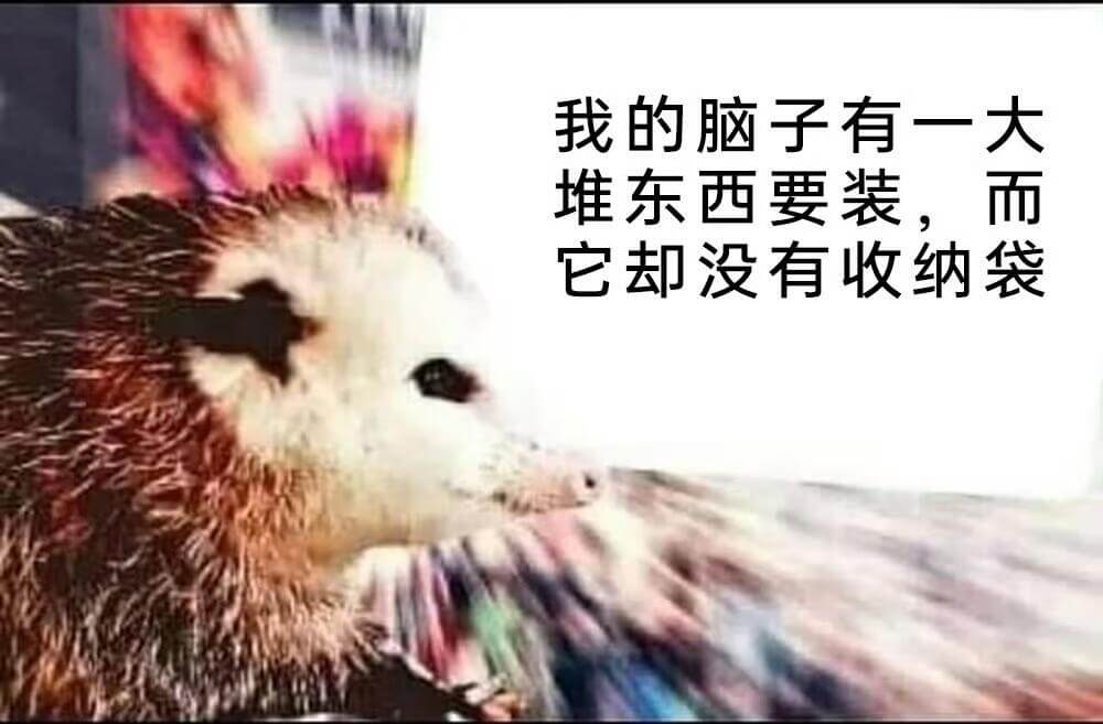 我的脑子有一大堆东西要装。而它却没有收纳袋