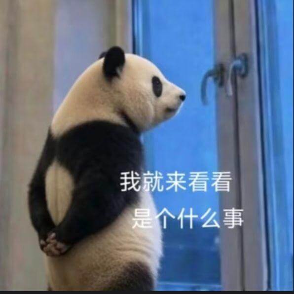 我就来看看是个什么事