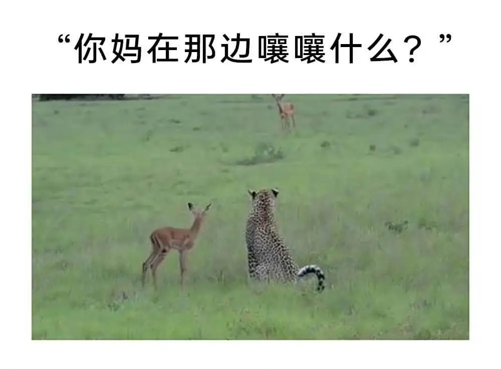 “你妈在那边曬什么？