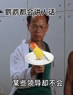 鹦鹉都会讲人话某些领导却不会