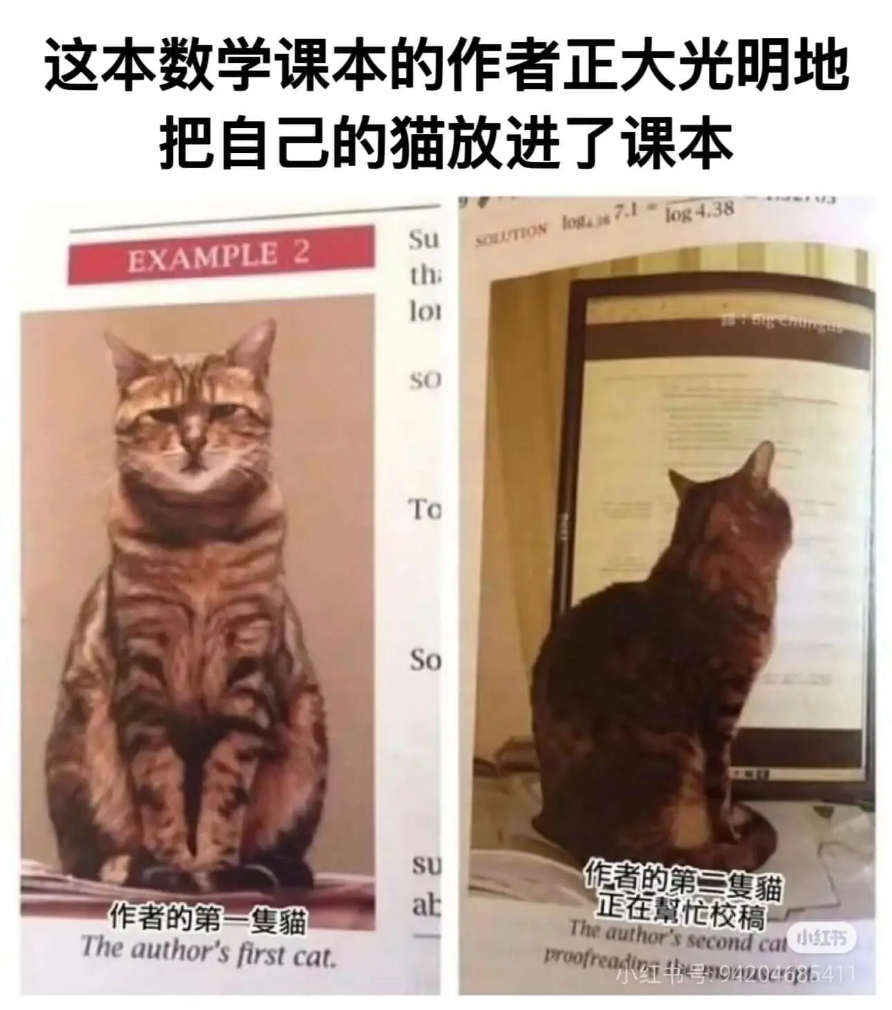 这本数学课本的作者正大光明地把自己的猫放进了课本