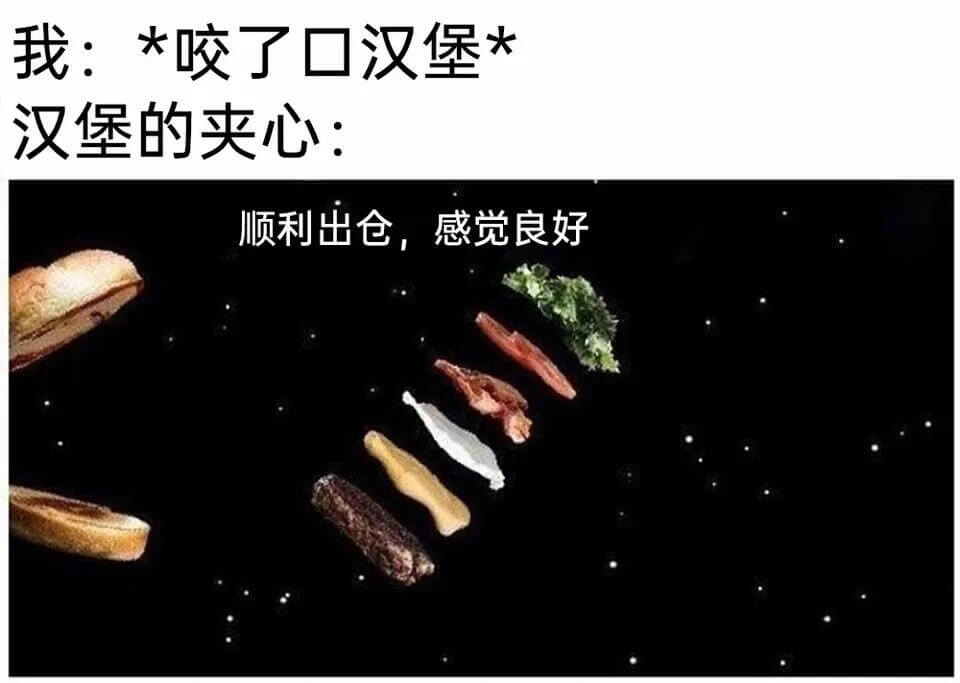 我：＊咬了口汉堡*汉堡的夹心：顺利出仓，感觉良好