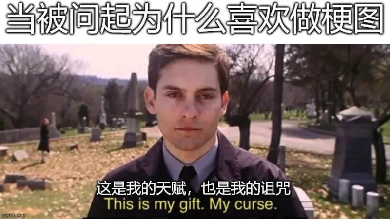 当被问起为什么喜欢做梗图，这是我的天赋，也是我的诅咒。Thi