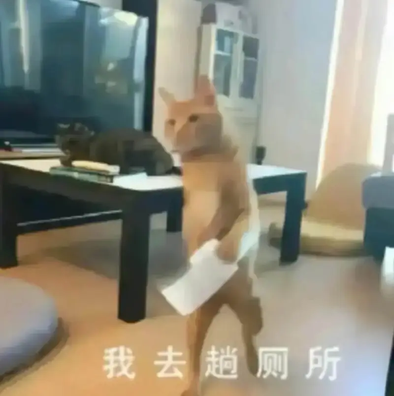 我去趟厕所