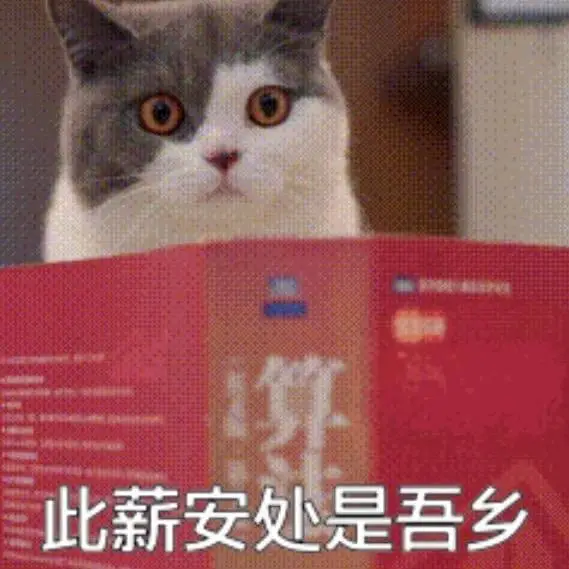 此薪安处是吾乡
