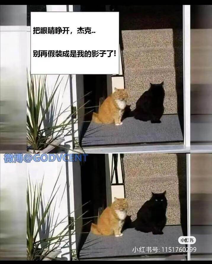 把眼睛睁开，杰克别再假装成是我的影子了！微博@GODVCEN