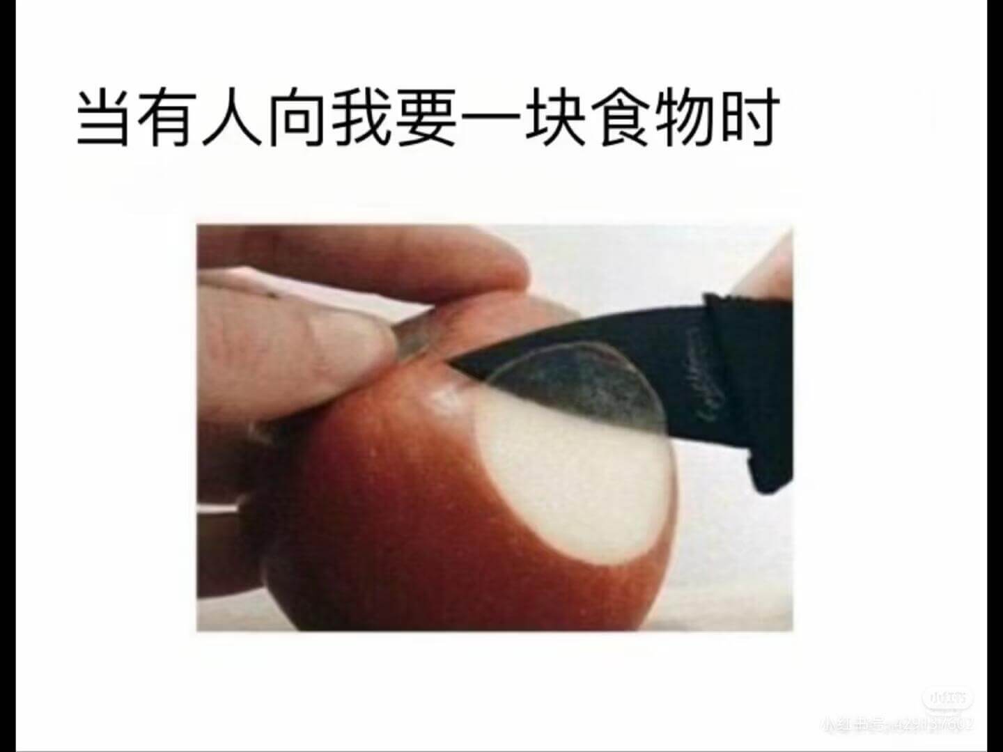 当有人向我要一块食物时