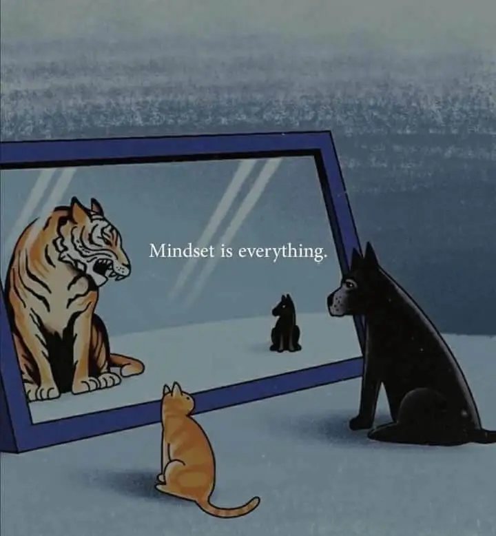Mindsetiseverything.