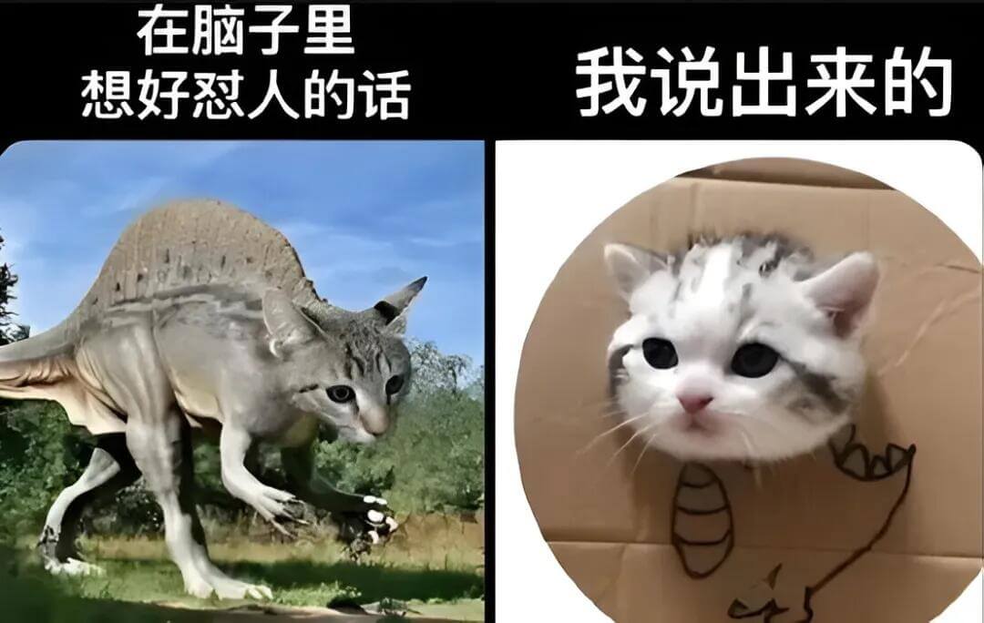 在脑子里想好慰人的话，我说出来的。
