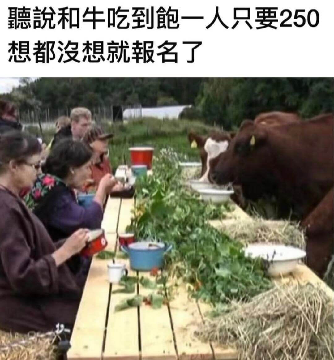 德設和牛吃到飽，一人只要250，想都没想就報名了