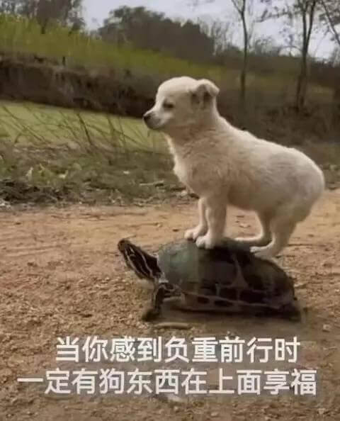 当你感到负重前行时，定有狗东西在上面享福。