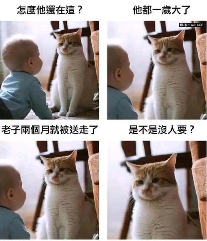 他在意什么？他都一大把年纪了。H/E:IVANMADE老子三
