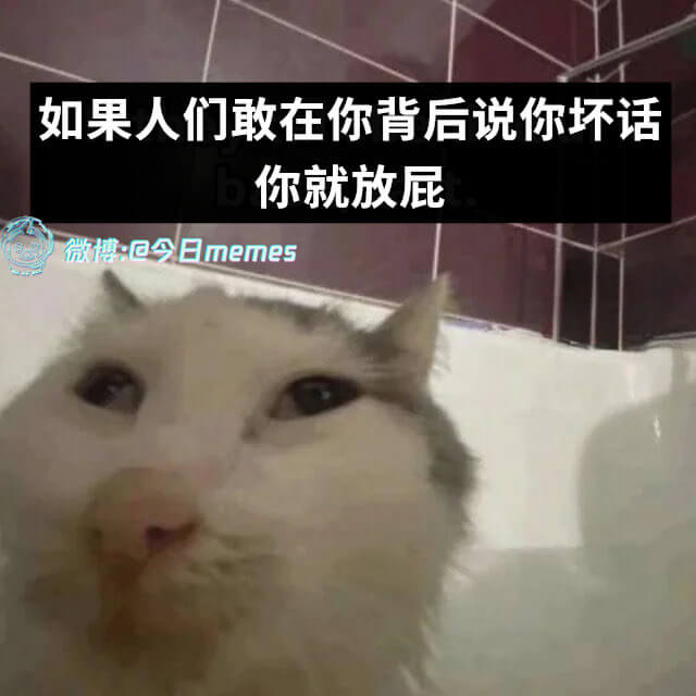如果人们敢在你背后说你坏话，你就放屁。微博@今日memes