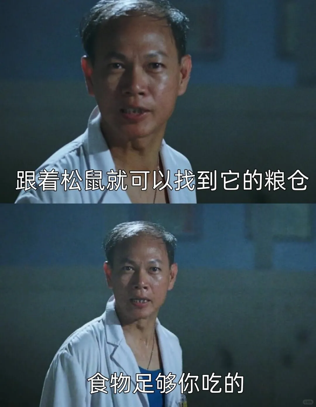 跟着松鼠就可以找到它的粮仓食物足够你吃的