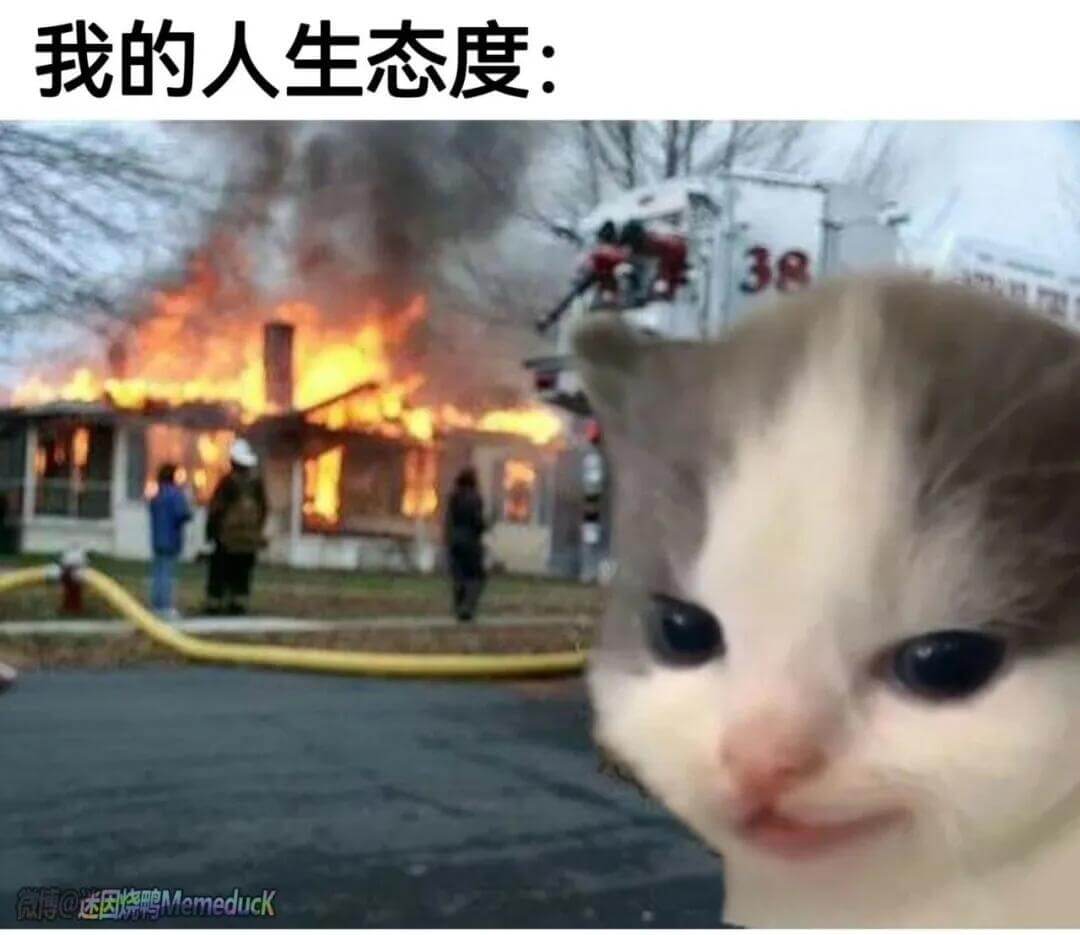 我的人生态度：微博@迷因烧鸭Memeduck