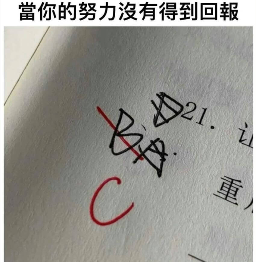 当你的努力没有得到回报重