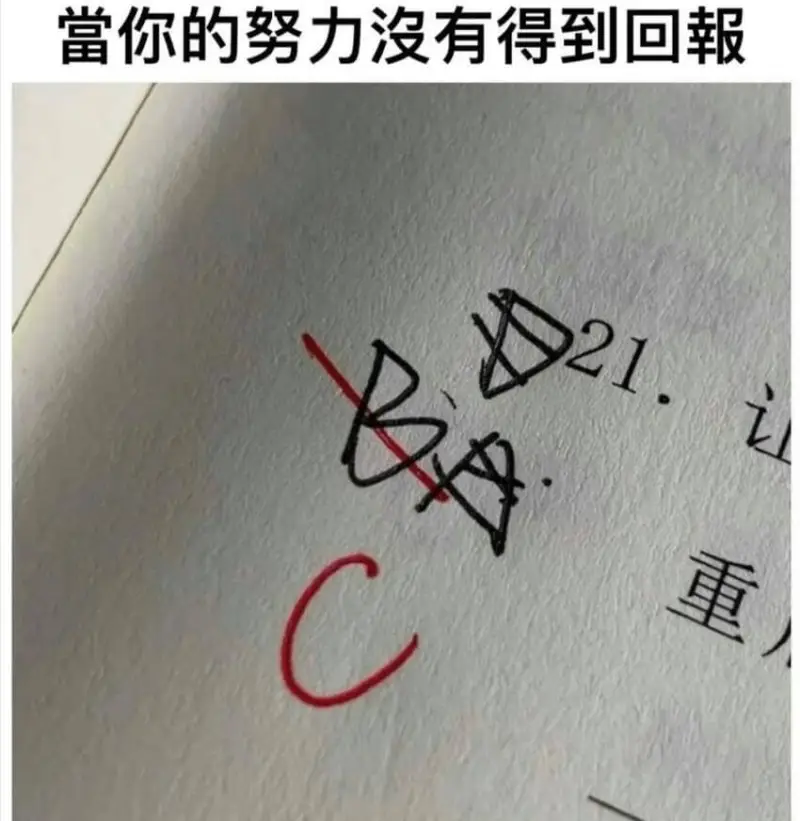 当你的努力没有得到回报重