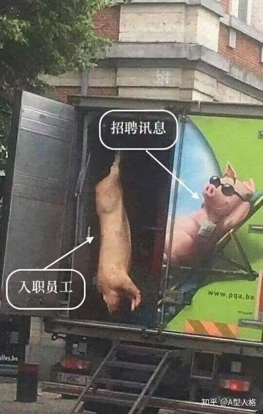 招聘讯息入职员工