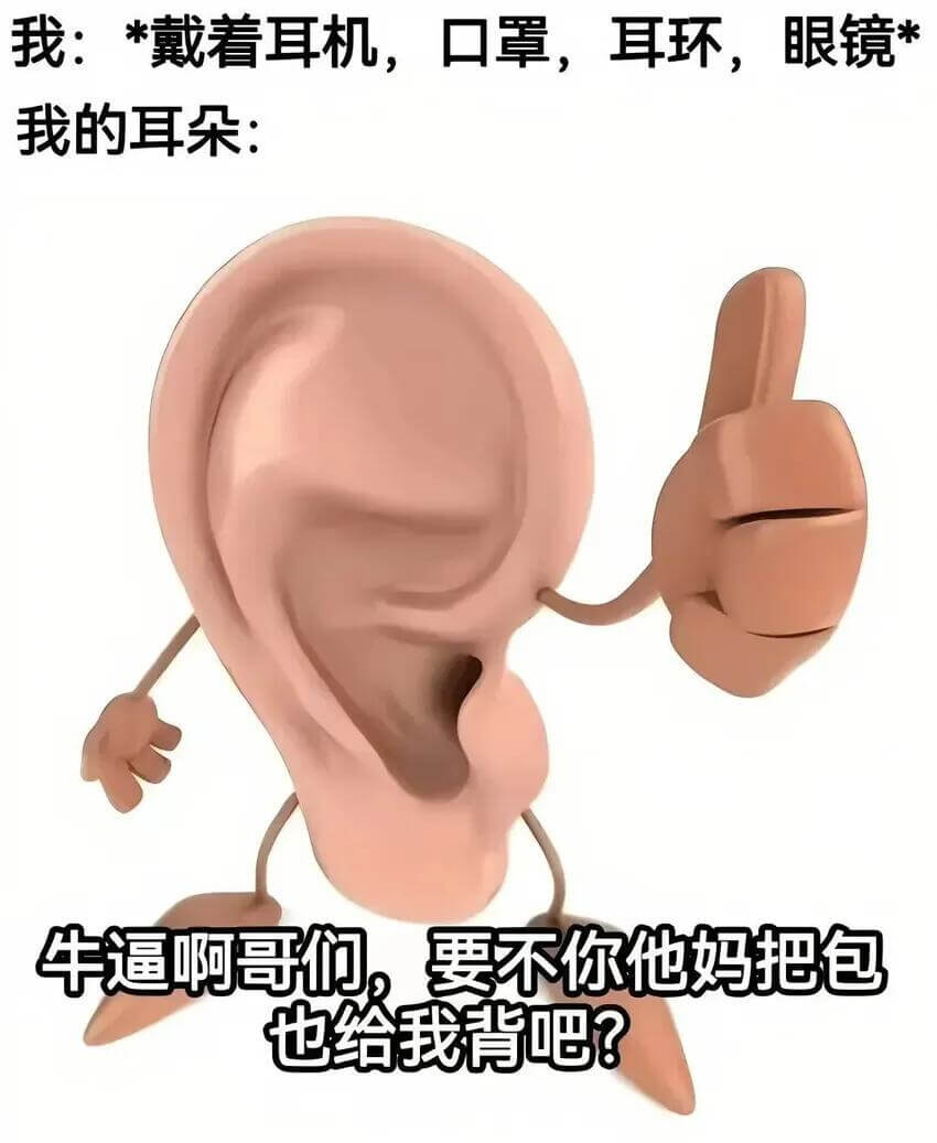 我：*戴着耳机，口罩，耳环，眼镜*我的耳朵：牛逼啊哥们，要不