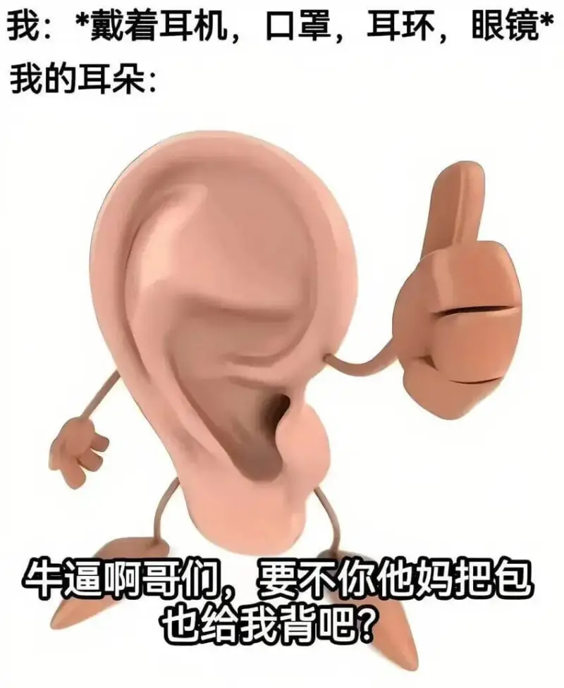 我：*戴着耳机，口罩，耳环，眼镜*我的耳朵：牛逼啊哥们，要不
