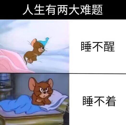 人生有两大难题睡不醒睡不着