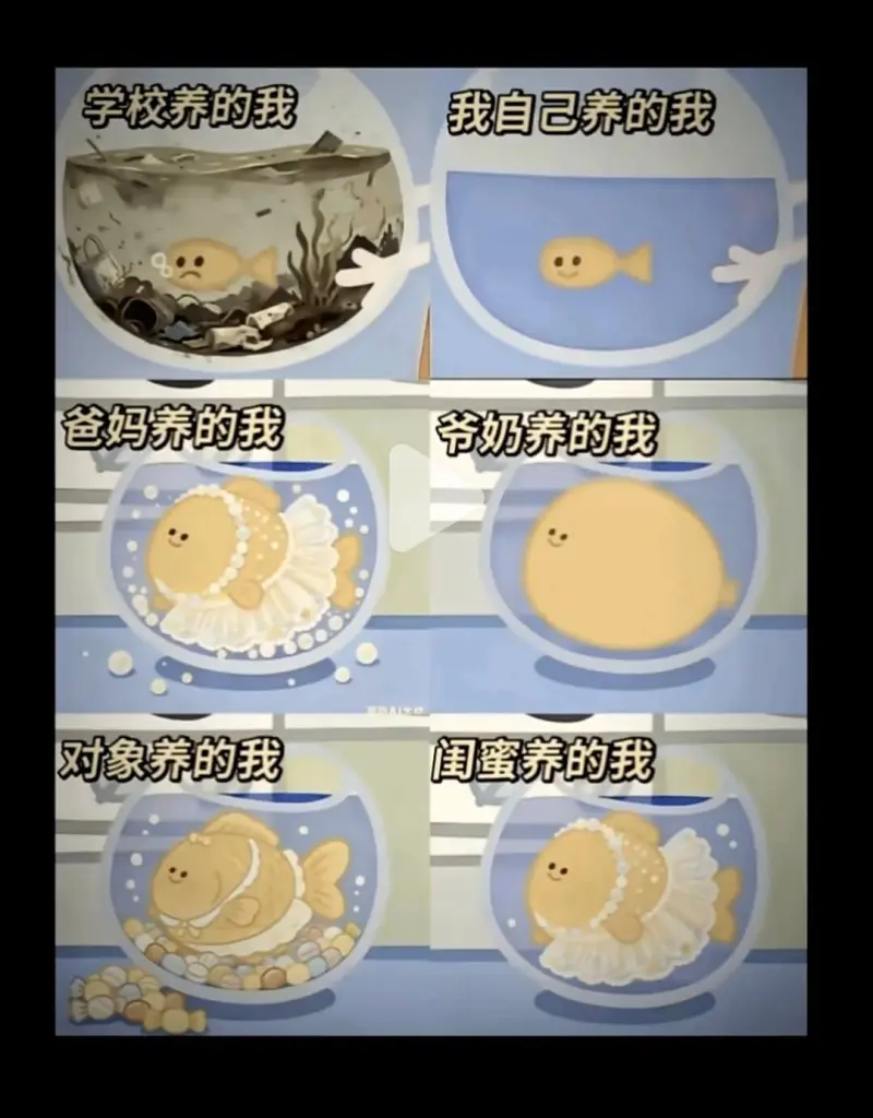 学校养的我我自己养的我爸妈养的我爷奶养的我对象养的我闺蜜养的