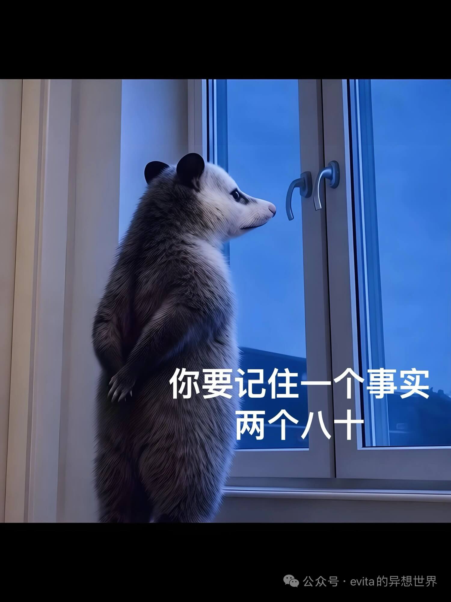 你要记住一个事实:两个八十。公众号·evita的异想世界
