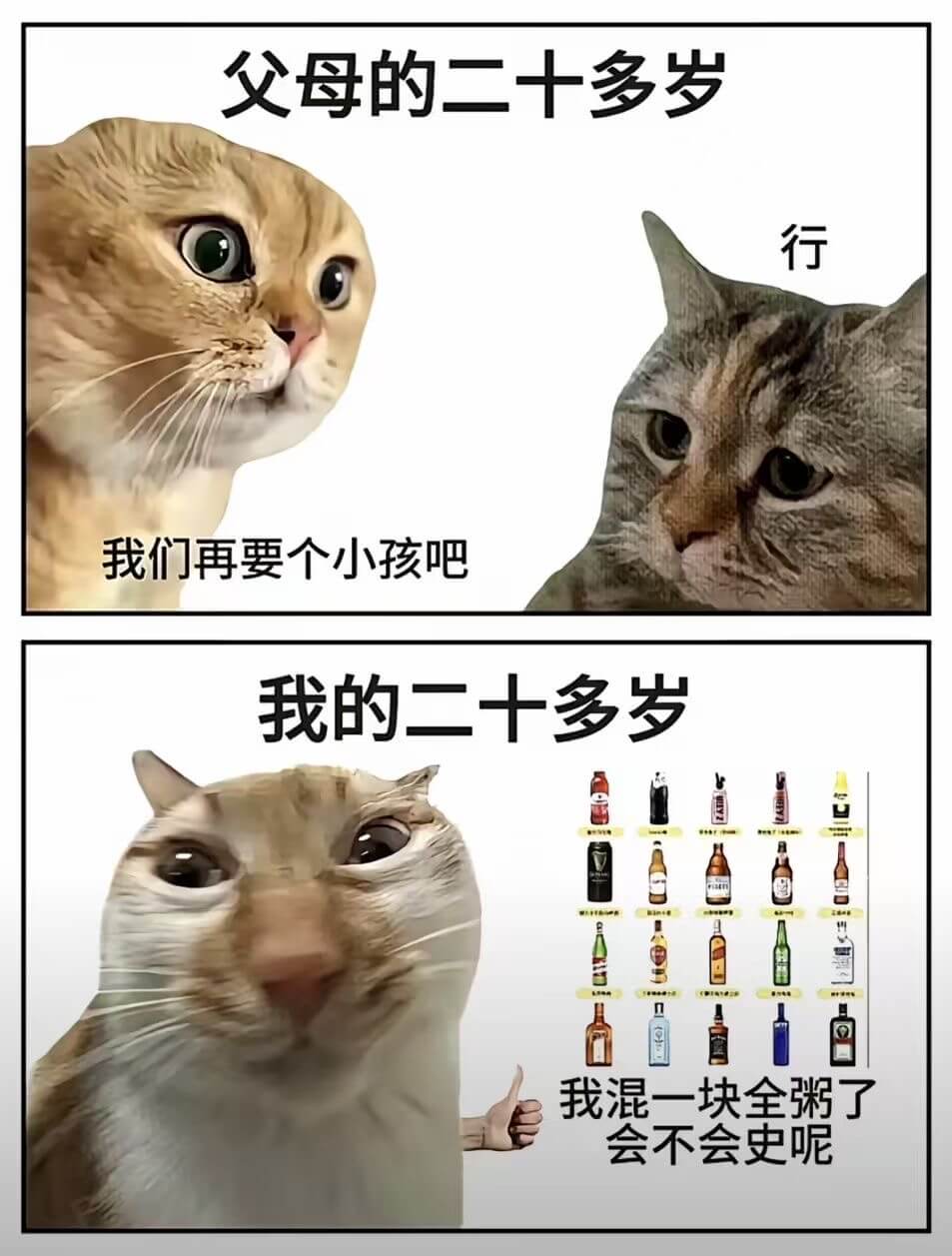 父母的二十多岁我们再要个小孩吧。行。我的二十多岁，我混成这样