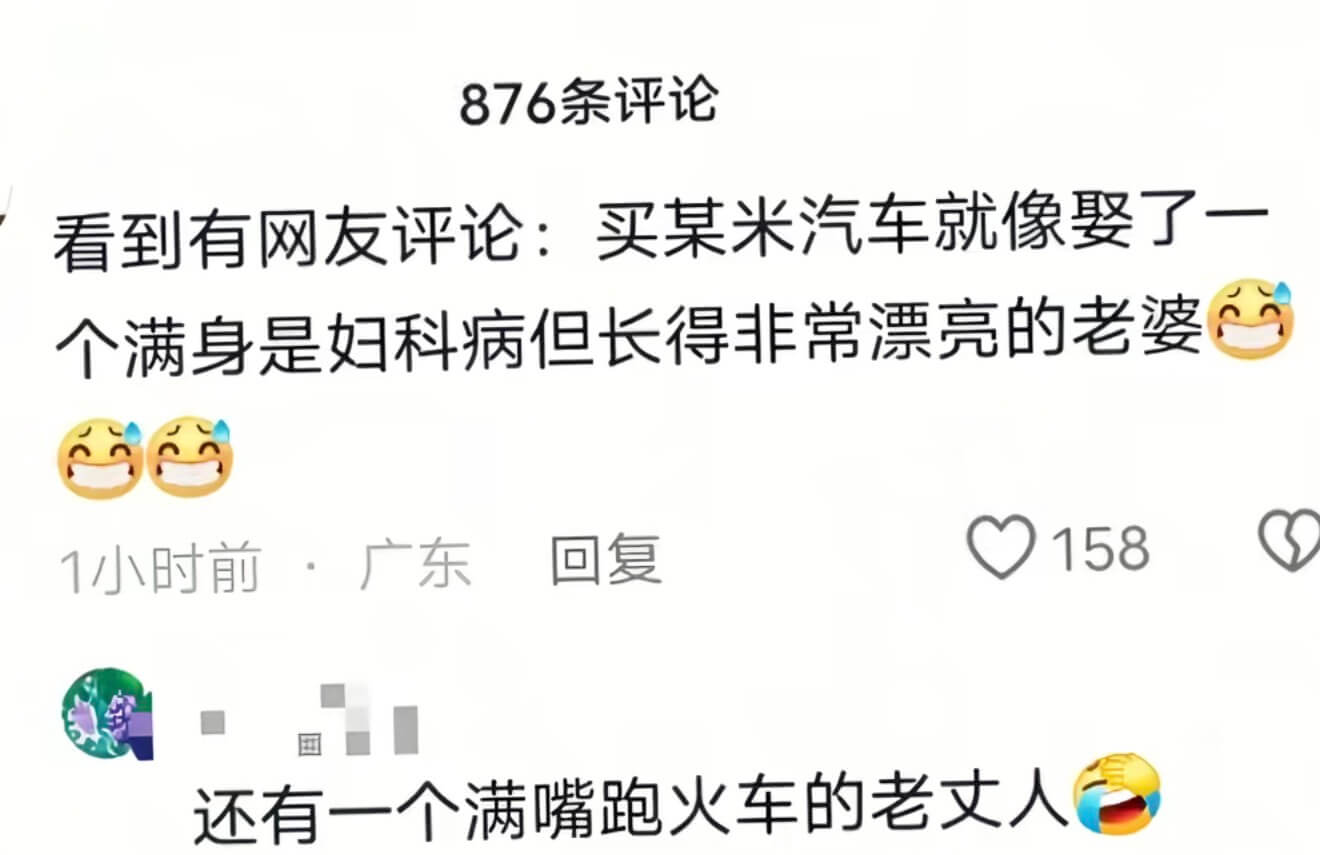 876条评论看到有网友评论：买某米汽车就像娶了一个满身是妇科