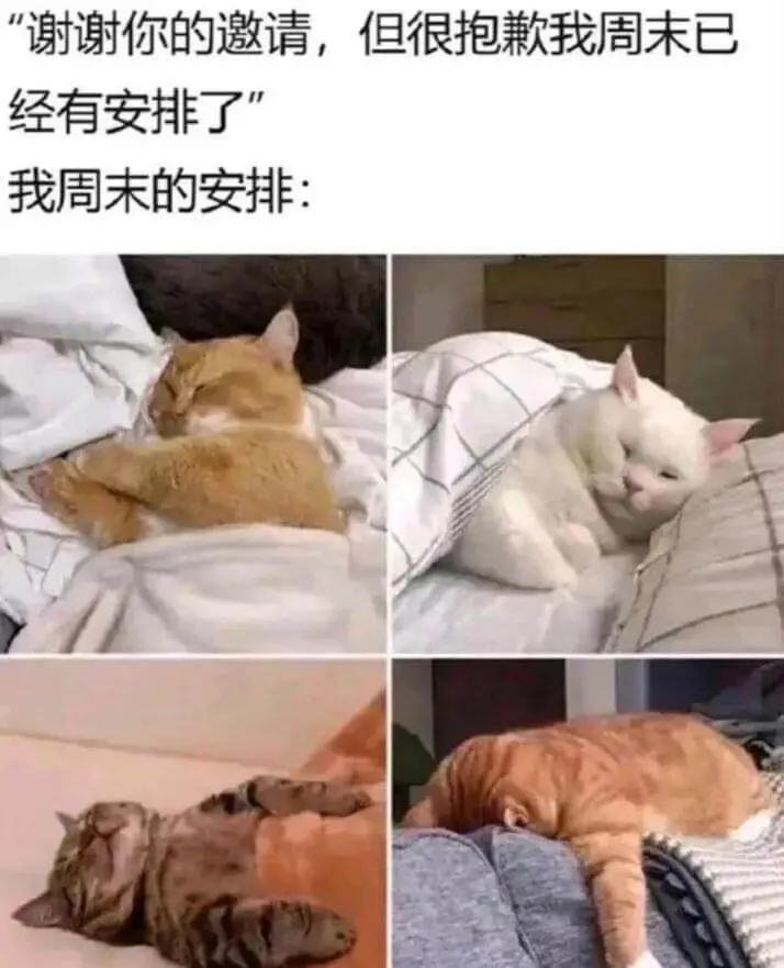 “谢谢你的邀请，但很抱歉我周末已经有安排了。我周末的安排：”