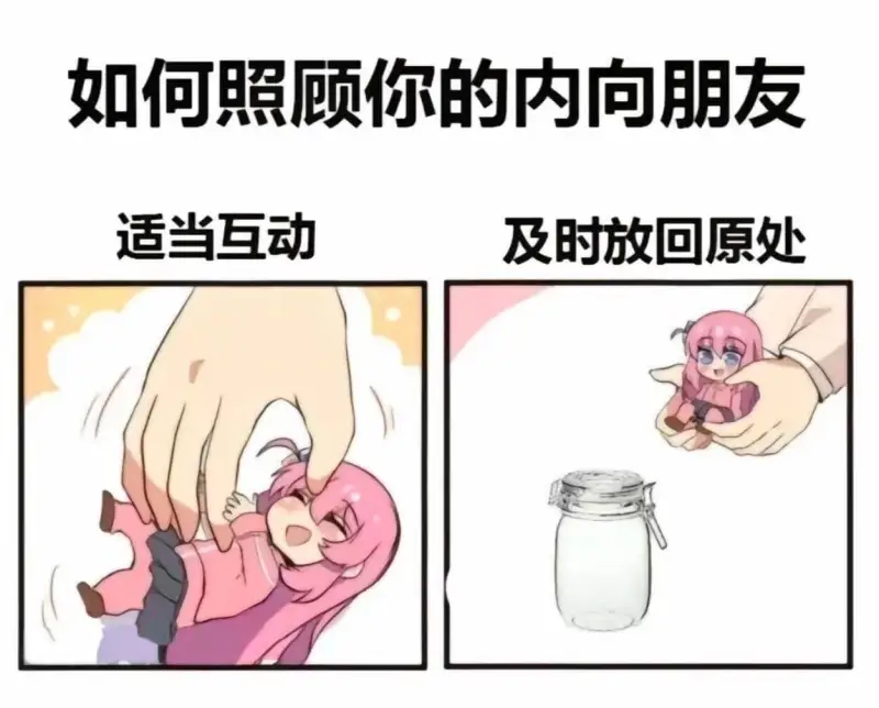如何照顾你的内向朋友适当互动及时放回原处