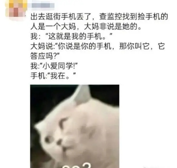 出去逛街手机丢了，查监控找到捡手机的人是一个大妈，大妈非说是